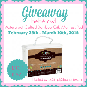 bebé owl Waterproof Quilted Bamboo Crib Mattress Pad Giveaway