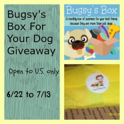 Bugsy's Box For Your Dog Giveaway
