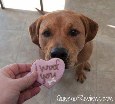 Xena with February 2016 Pooch Perks Box Valentines Cookie