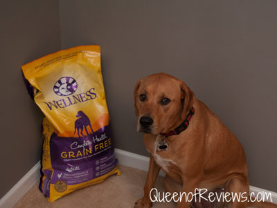 Xena with Wellness Complete Health Dog Food