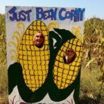 Girls being Corny at Shuckles Corn Maze