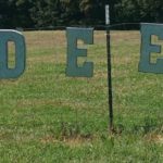 Fiddle Dee Farms Sign