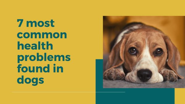 dogs with most health problems